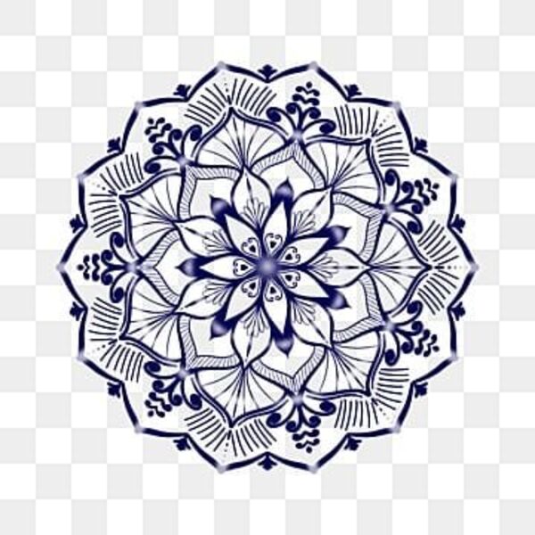 WhatsApp Image 2022 05 04 at 1 59 16 AM Thumbnail