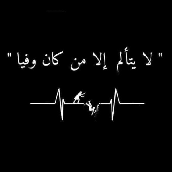 WhatsApp Image 2022 05 13 at 5 16 01 PM Thumbnail