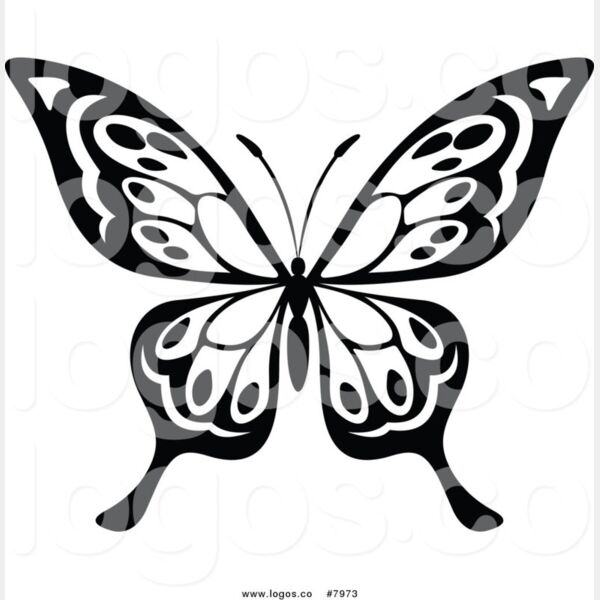 WhatsApp Image 2022 04 30 at 5 15 17 PM  6  Thumbnail