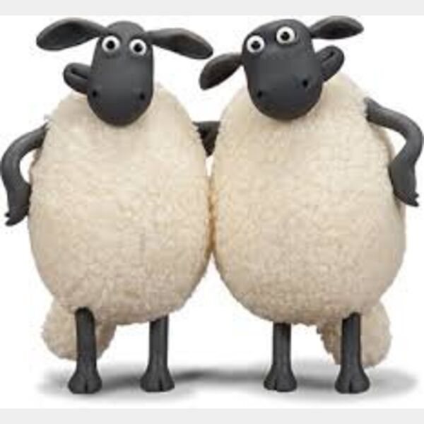 WhatsApp Image 2022 06 15 at 11 19 53 PM  2  Thumbnail