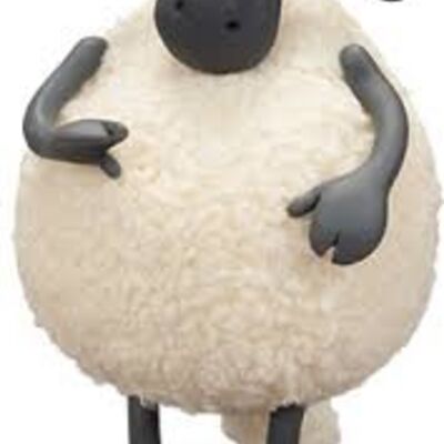 WhatsApp Image 2022 06 15 at 11 19 53 PM  5  Thumbnail