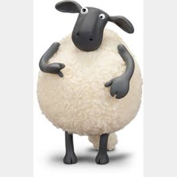 WhatsApp Image 2022 06 15 at 11 19 53 PM  5  Thumbnail