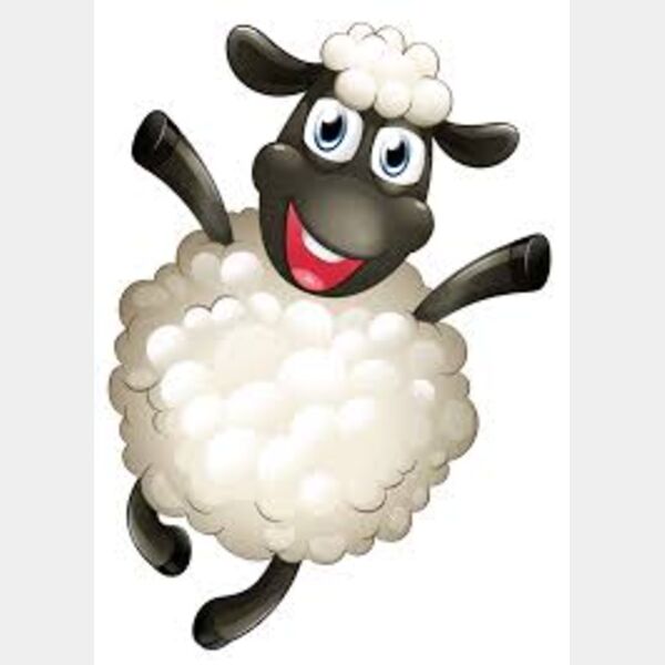 WhatsApp Image 2022 06 15 at 11 19 53 PM  7  Thumbnail