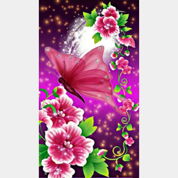 WhatsApp Image 2022 06 15 at 11 19 53 PM  18  Thumbnail