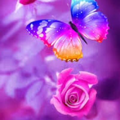 WhatsApp Image 2022 06 15 at 11 19 53 PM  17  Thumbnail