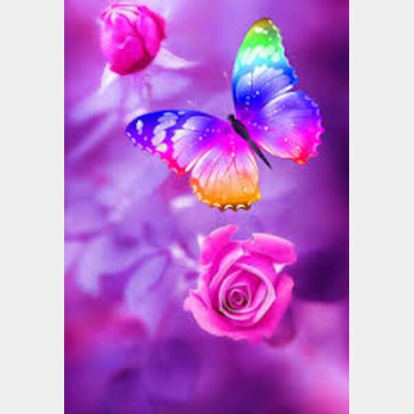 WhatsApp Image 2022 06 15 at 11 19 53 PM  17  Thumbnail