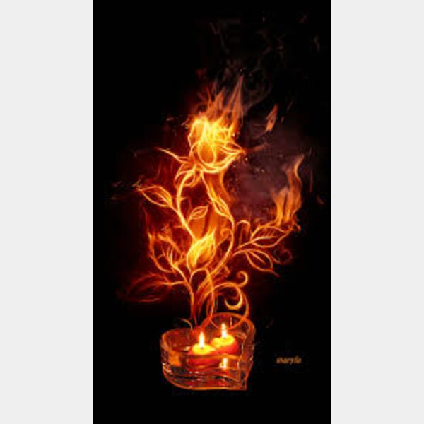 WhatsApp Image 2022 06 15 at 11 19 53 PM  13  Thumbnail