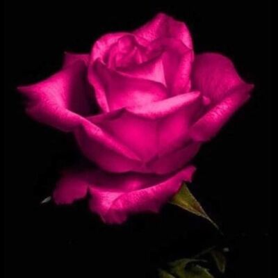 WhatsApp Image 2022 05 09 at 11 07 14 PM Thumbnail