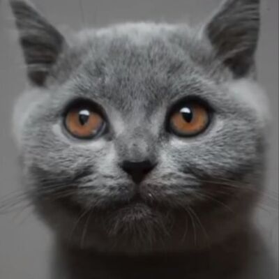 WhatsApp Image 2022 06 15 at 11 19 53 PM  3  Thumbnail