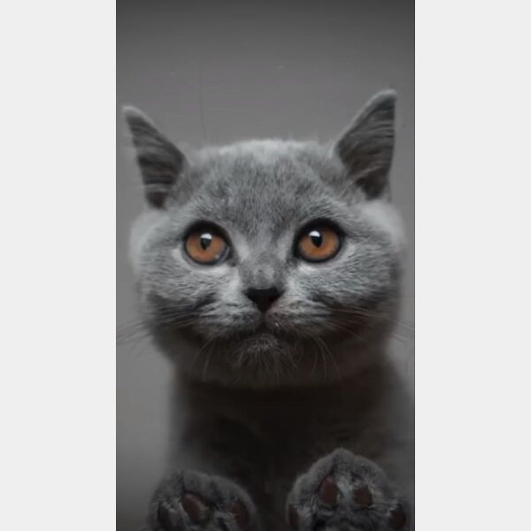 WhatsApp Image 2022 06 15 at 11 19 53 PM  3  Thumbnail