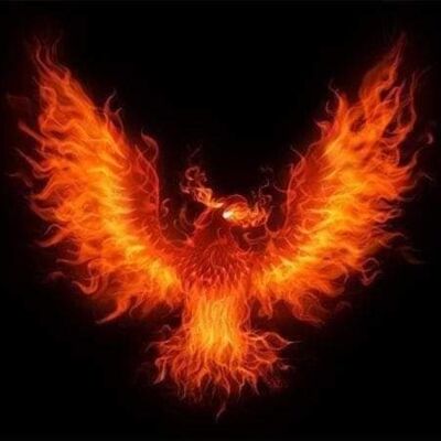 277822920 1133125790583864 8791259995167517170 n Thumbnail