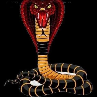 278987810 366352405455137 217694864428229060 n Thumbnail