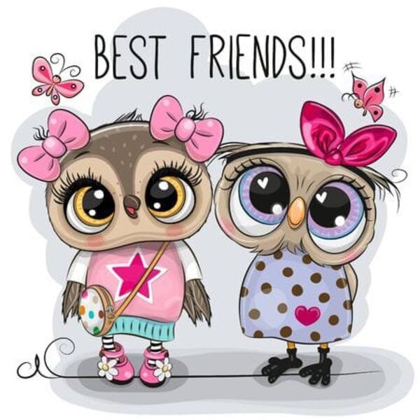 WhatsApp Image 2022 06 18 at 3 45 49 PM Thumbnail