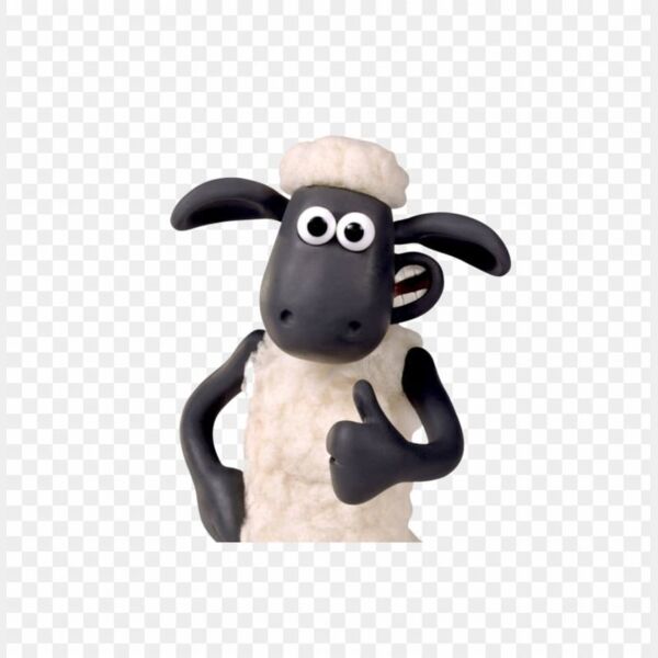 WhatsApp Image 2022 06 18 at 4 04 32 PM Thumbnail