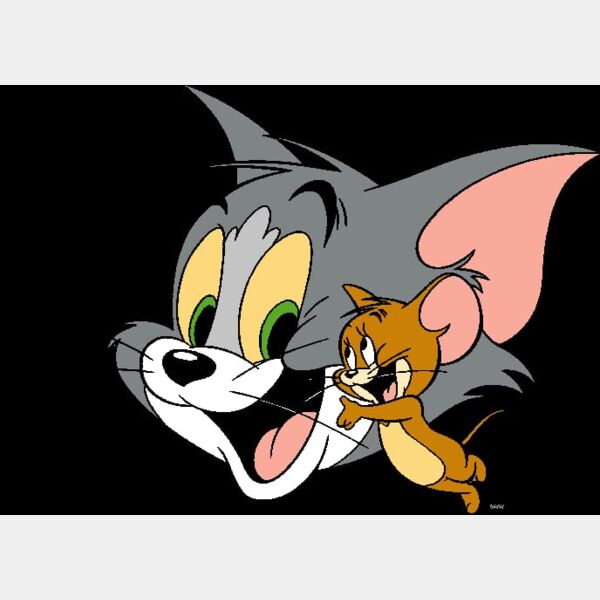 WhatsApp Image 2022 06 24 at 11 56 50 PM  2  Thumbnail