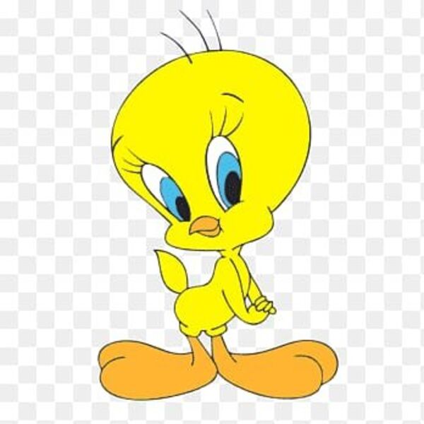 WhatsApp Image 2022 06 25 at 12 33 24 AM  3  Thumbnail