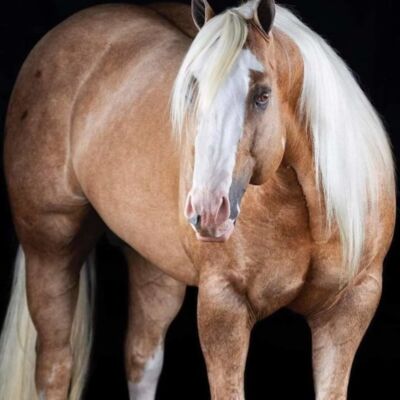 WhatsApp Image 2022 11 14 at 11 16 45 PM  2  Thumbnail