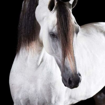 WhatsApp Image 2022 11 14 at 11 16 45 PM  3  Thumbnail